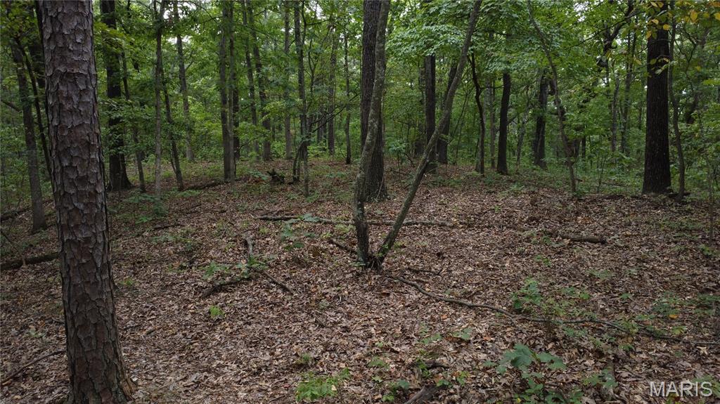 10223 San Juan Trail