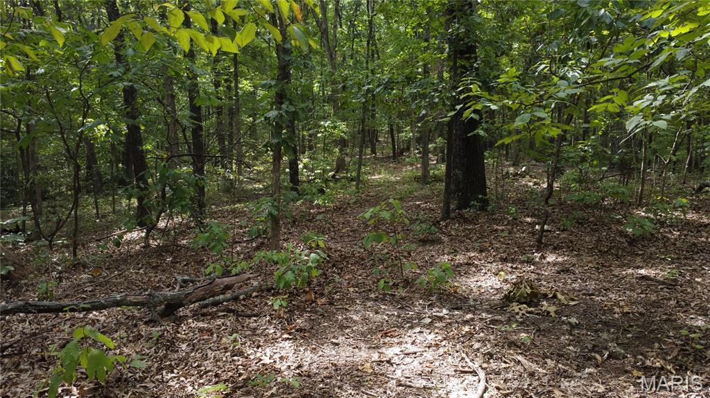 10223 San Juan Trail