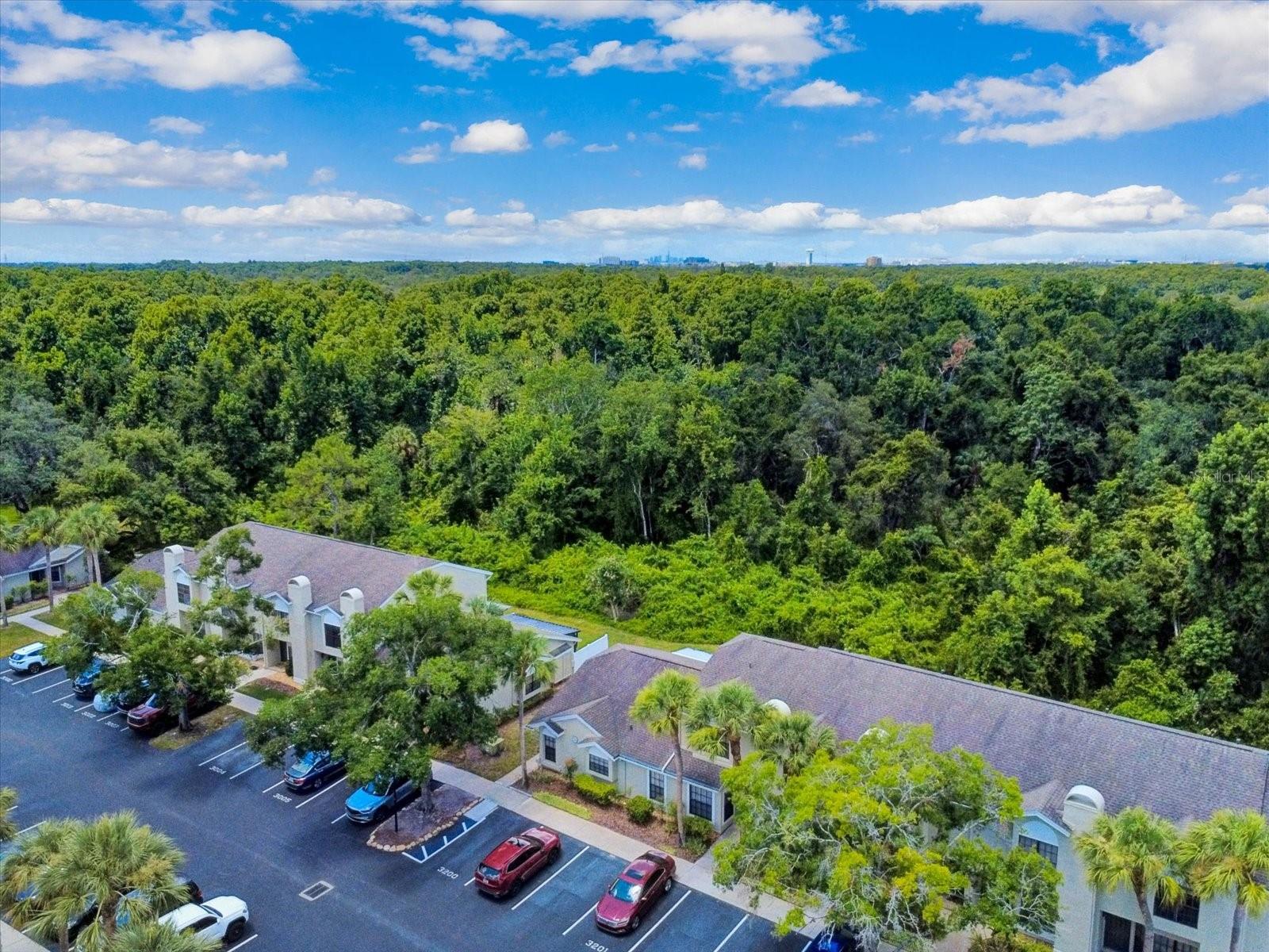 5100 Burchette Road 3200
