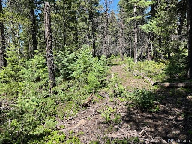 Lot 2449 Petito Drive