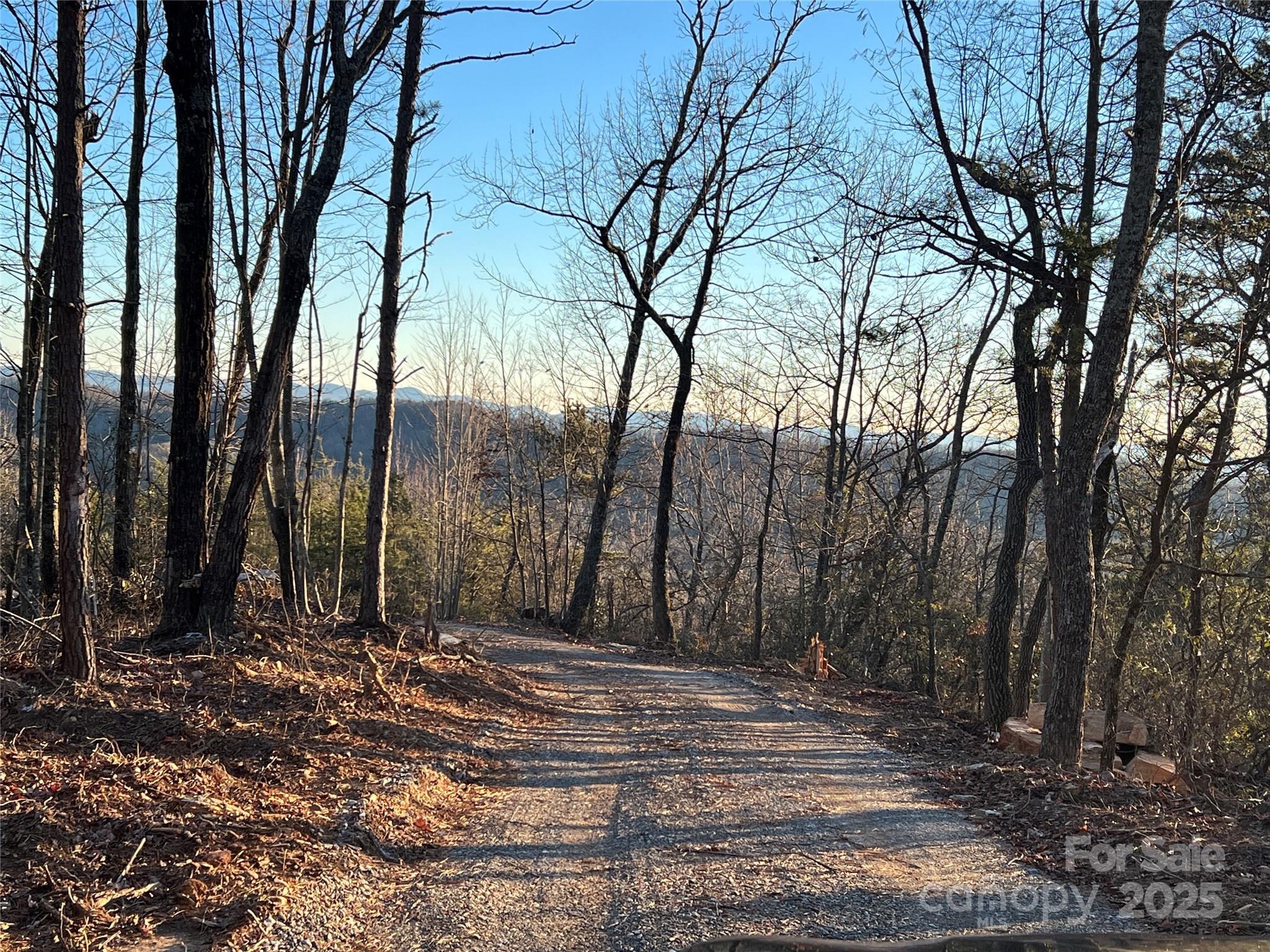 TR 14 Blackberry Ridge