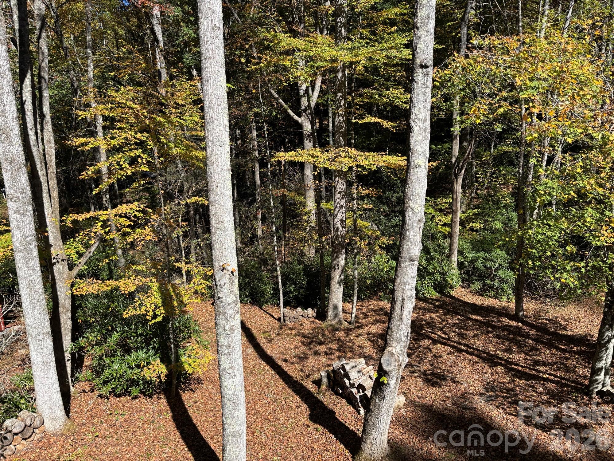 1661 Mckinney Mine Road