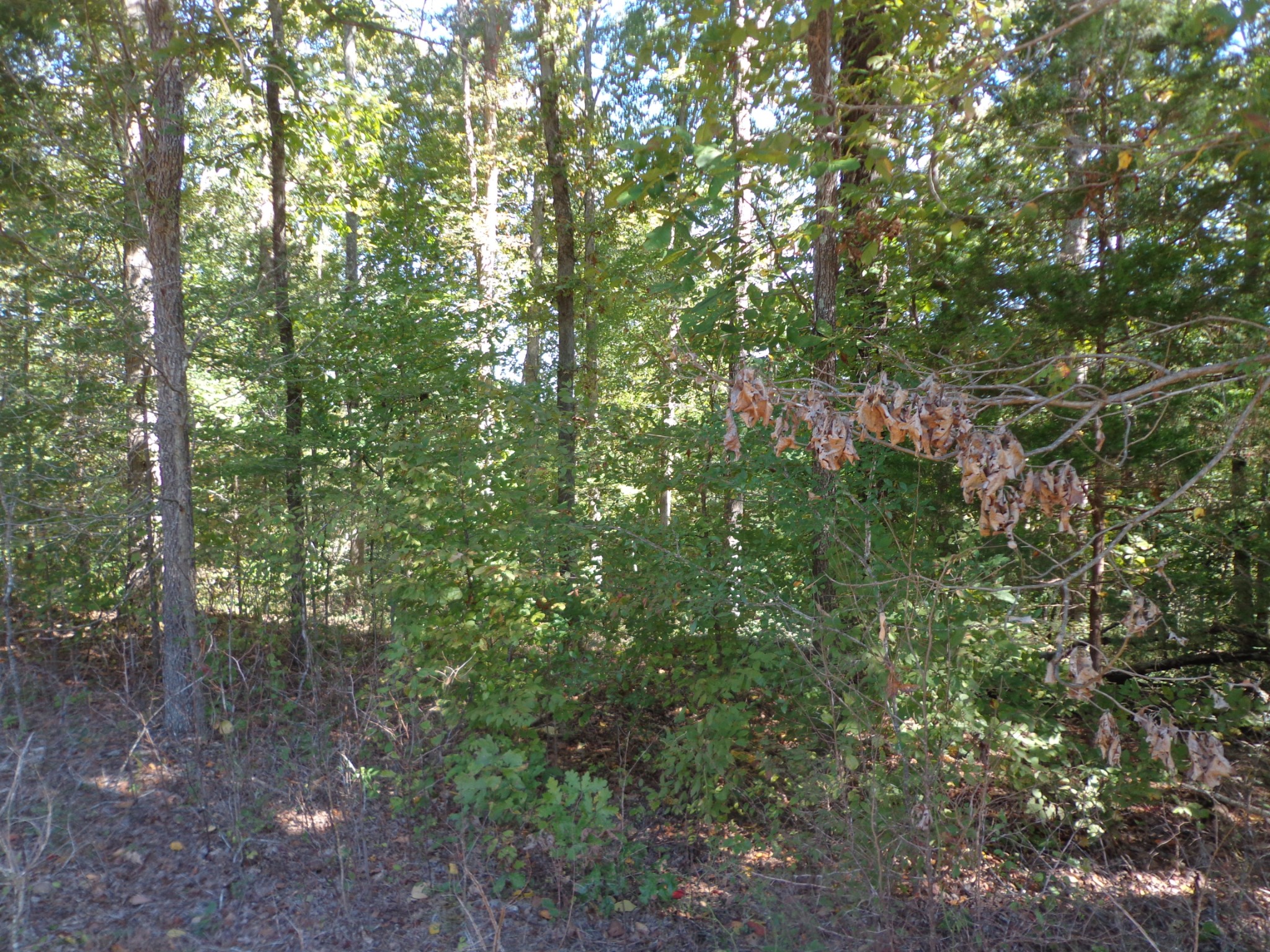 1030 Bucksnort Rd