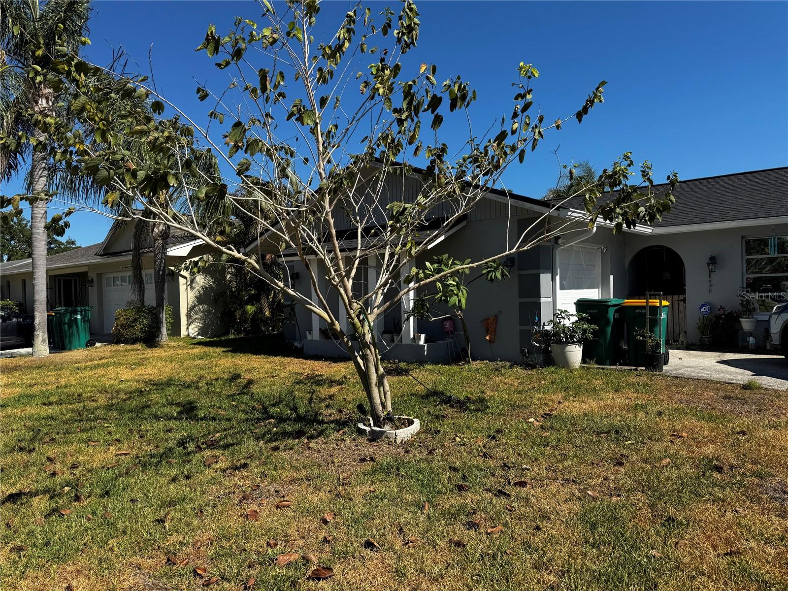 Welcome to this charming home located in Palm Harbor, FL. This property features an inviting open floor plan with ample natural light throughout. Enjoy relaxing in the spacious living area or step outside to the private backyard, appropriate for outdoor gatherings. Situated in a neighborhood, this home has convenience to local amenities and a vibrant community atmosphere. Don't miss the opportunity to make this house your home!