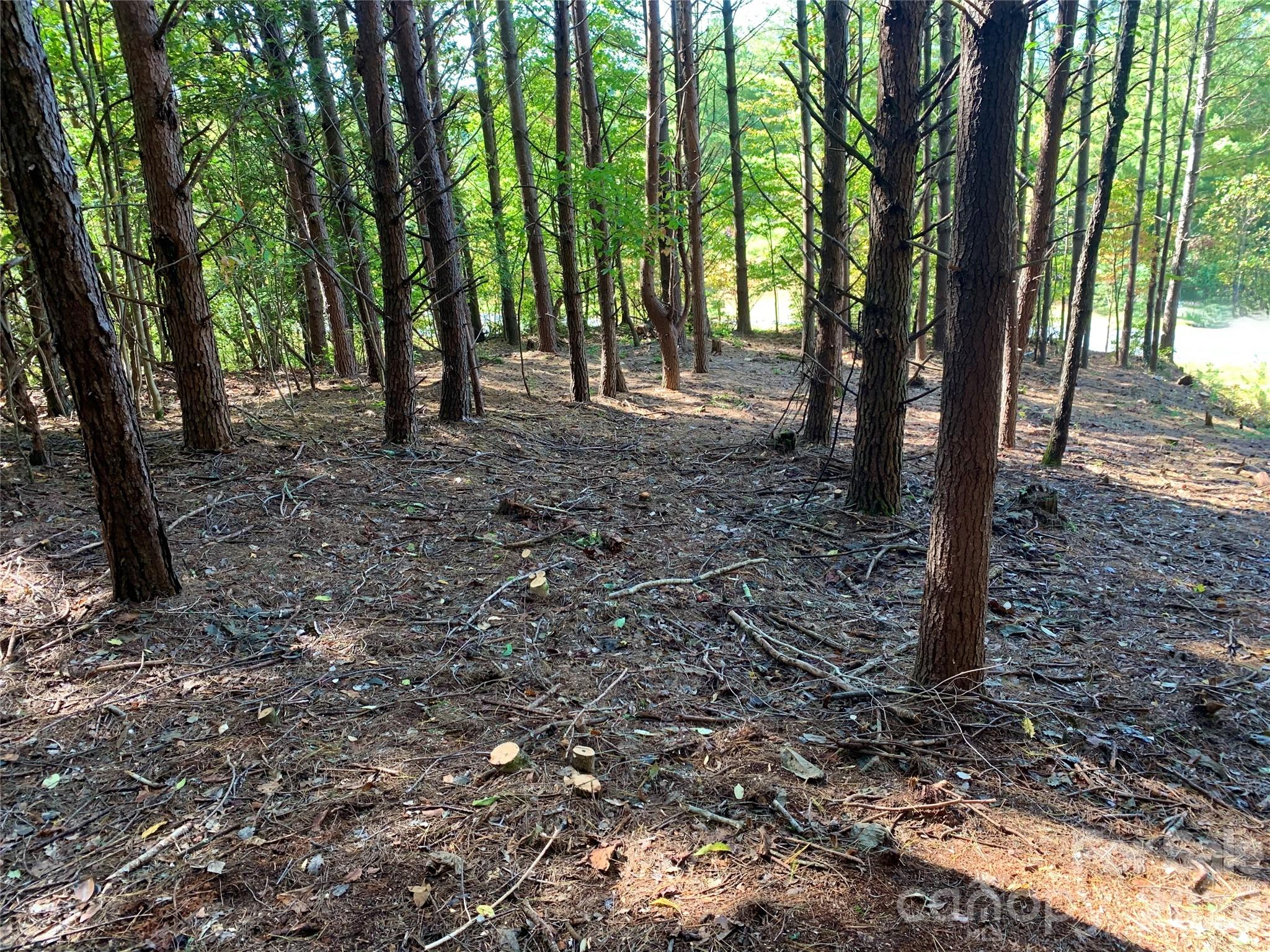 Lot 104 Johns Ridge Parkway 104