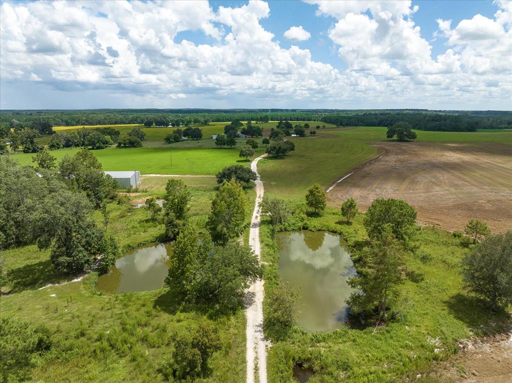 Located in the heart of "Plantation Trace," you will see the value of this property.  The approx 527 acres (with CREEK FRONTAGE) of land have 14 ponds and offer a diverse mix of farmland and woodlands. The seller has taken the initiative to build a road system and has converted a barn into a spacious 2100 sq. ft. lodge, along with multiple outbuildings.  There are approx 250 acres in cultivation, including 200 in perennial peanut. The potential for this property is truly impressive. There is also a 60x200 equipment shelter. The property also has an 8" well and miles of trails and roads, making it a paradise for outdoor enthusiasts; the creek ensures that abundant wildlife is always present. The waterline extends from the house to all the barns, the front gate, down to the pond in the middle of the field and then down to the planted pines, adding to the convenience and potential of this remarkable property.  The property is in a 10-year agricultural covenant; it is NOT in a permanent easement.  Don't miss the chance to own this beautiful property - call today for a viewing.