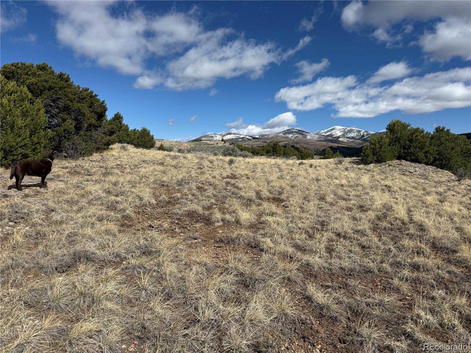 Lot 117 Lautenburg Drive