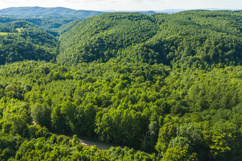 Check out this +/- 215.7 acres of wooded, undeveloped land located off Sawmill Hill Rd. The property is mostly mature woodland with a small stream running throughout, making it ideal for hunting, recreation, timber investment, or great for a mountain retreat. With its peaceful setting and acreage, this land provides potential for those seeking seclusion. The property is also conveniently located to Radford, VA and the Town of Floyd with only a 25-30 minute drive.