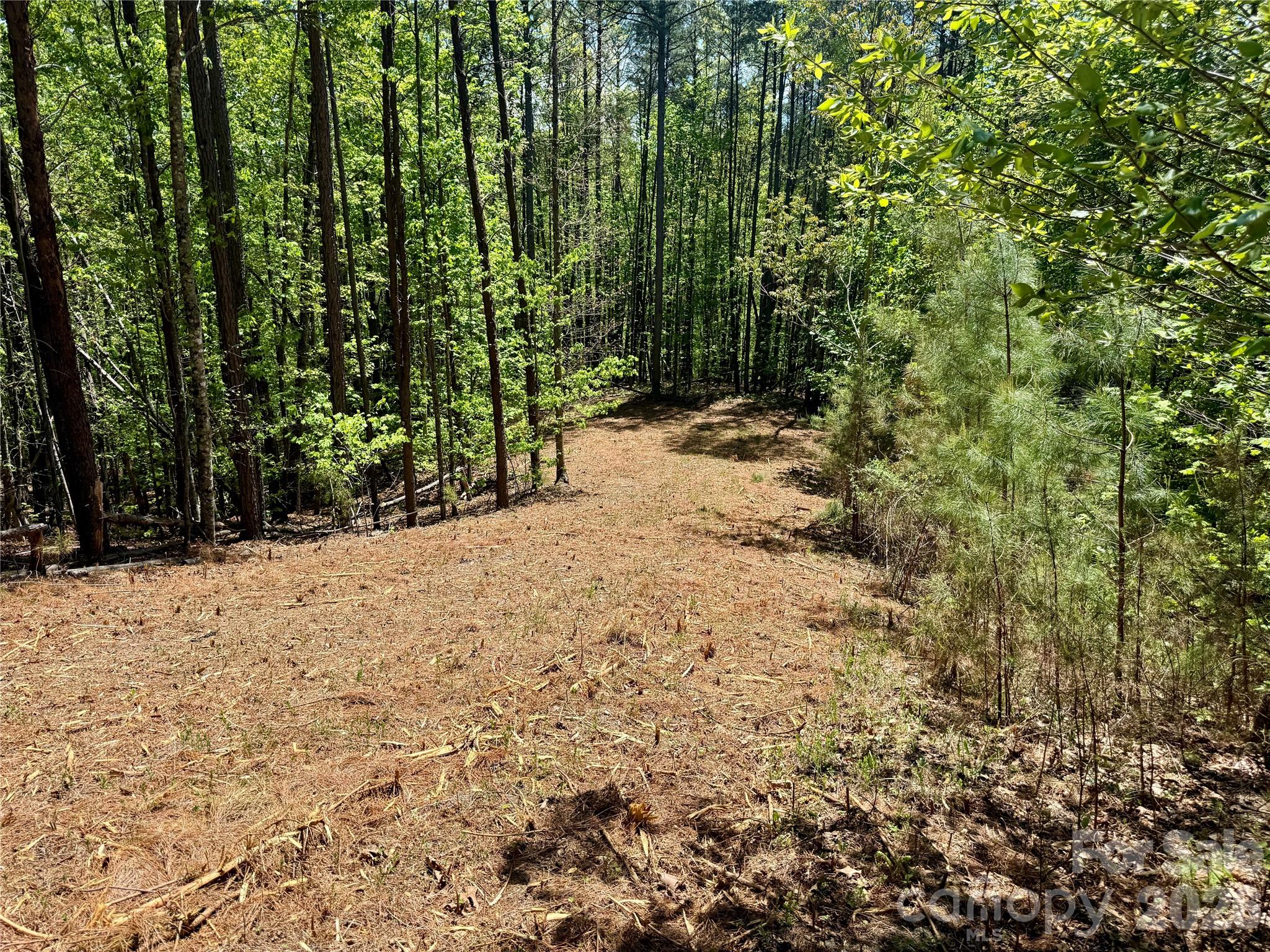 Lot 488 Bella Vista Way 488