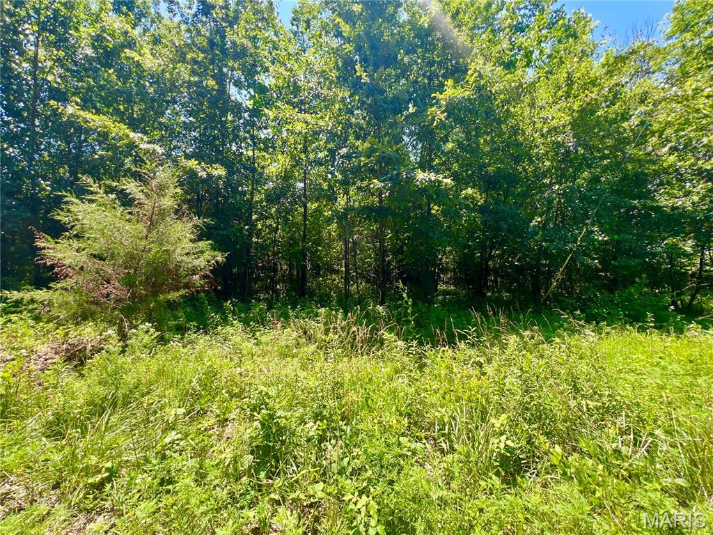 14.57 Acres Red Oak Road