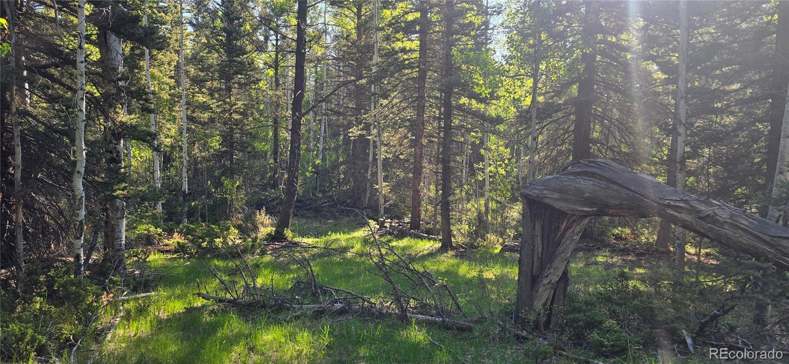 Lot 6385 Jaquez Road