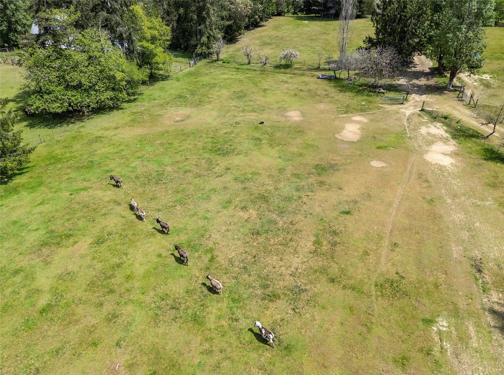 6529 Key Peninsula Hwy NW