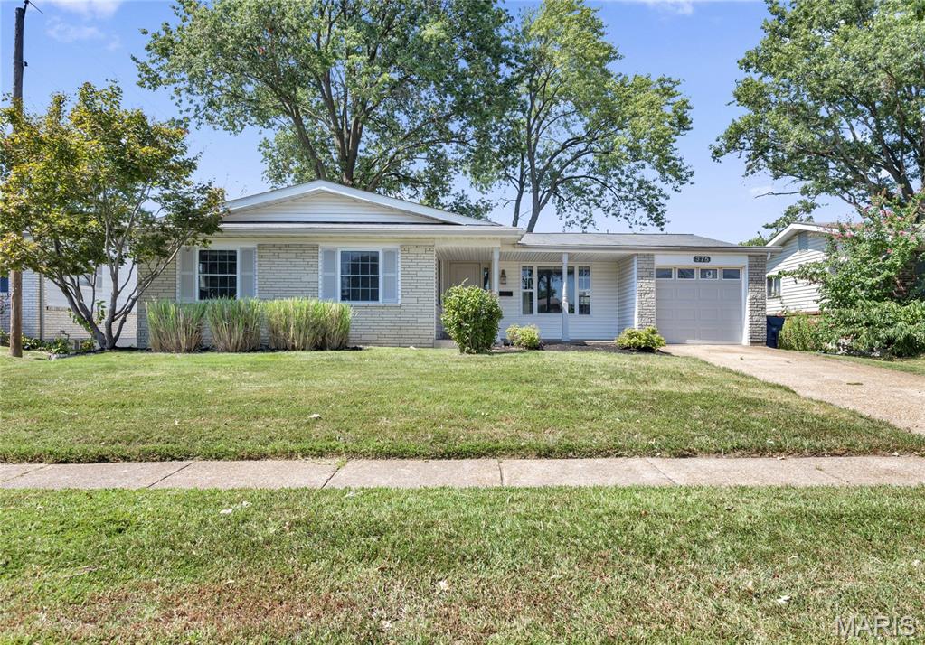 375 Albert Drive