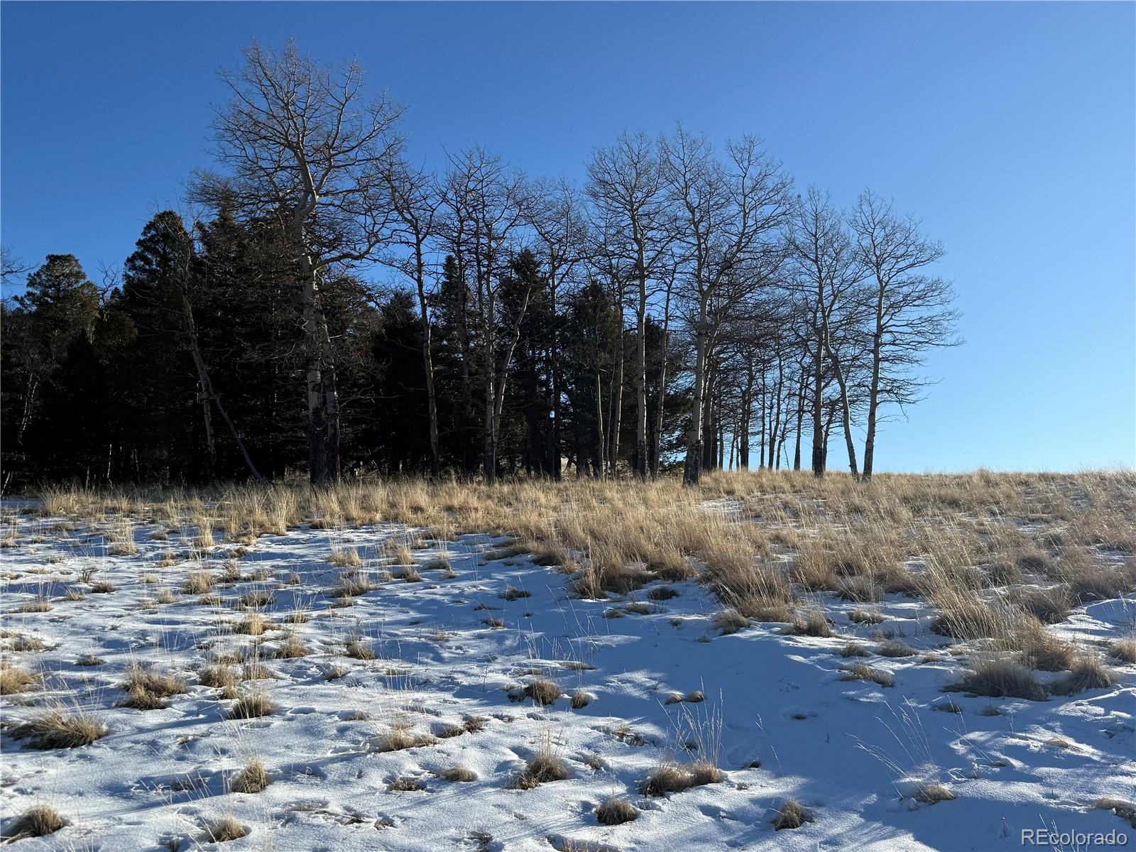 Lot 499 Collinson Drive