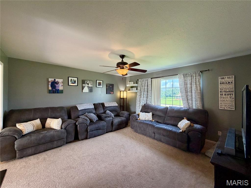 11779 Hickory Grove Pl
