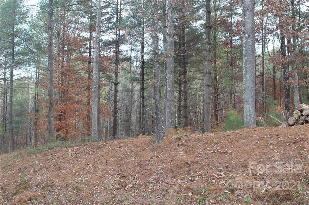 Land for sale in Valdese Lot for Sale 3158 Peninsula Pointe Drive NW 110 NC