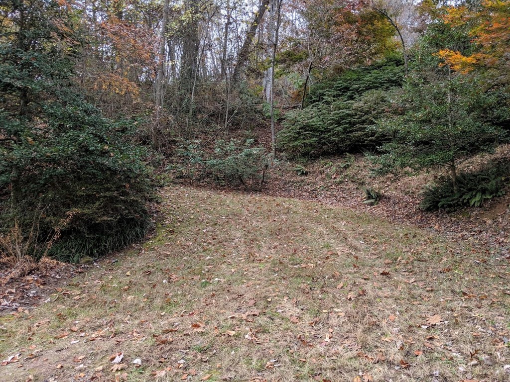 Joy Lane