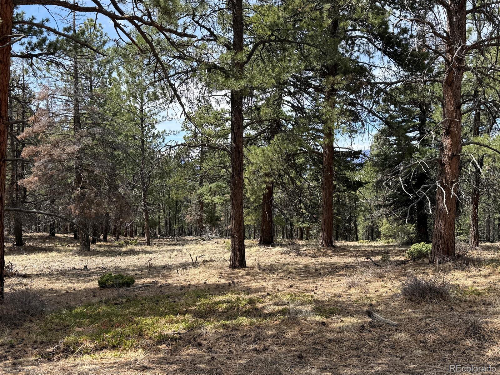 Lot 152 Tahmoush Lane