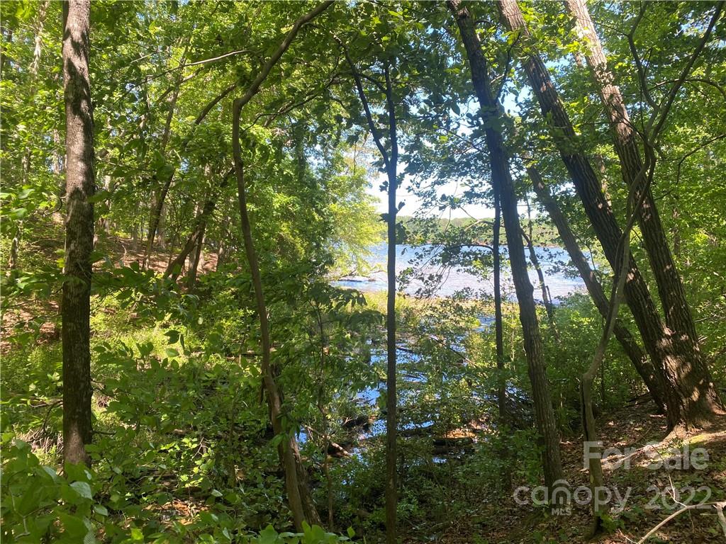 Waterfront lot in desirable Edgewater on Lake Tillery. This gated community boasts a lovely clubhouse, Olympic sized pool, waterfront pavilion with sandy beach, community boat ramp and so much more! 
(One of the sellers is a licensed real estate agent.)