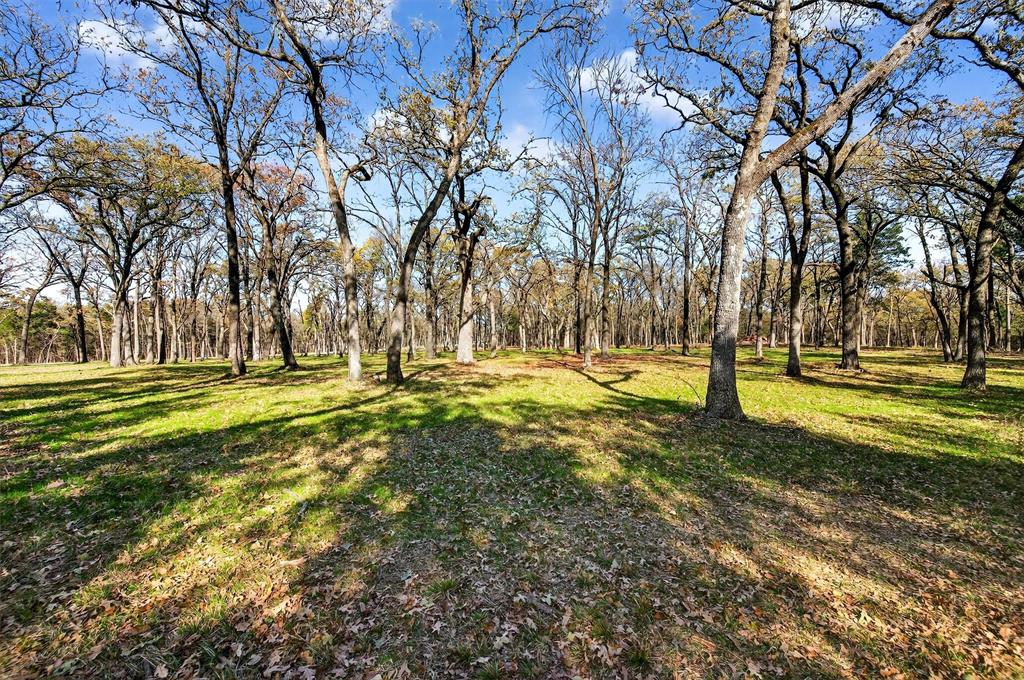 Lot 14 Buck Trail