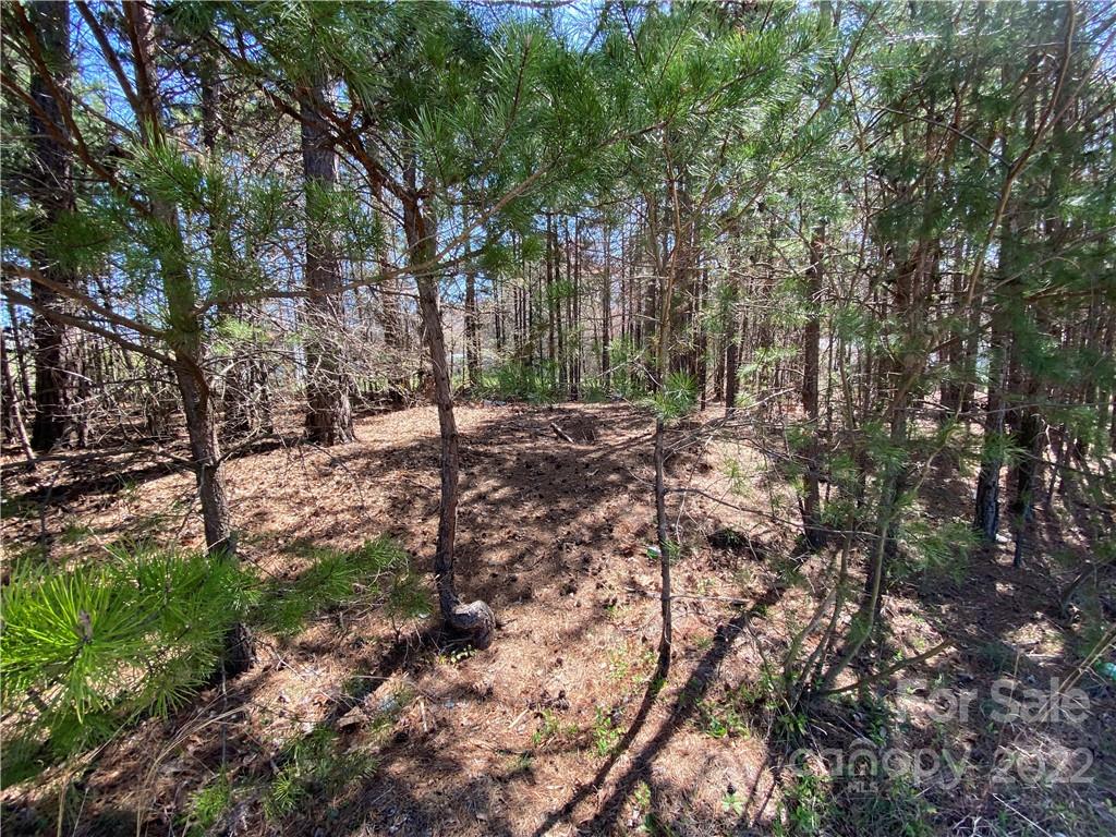 Next to 1670 Buck Oak Road