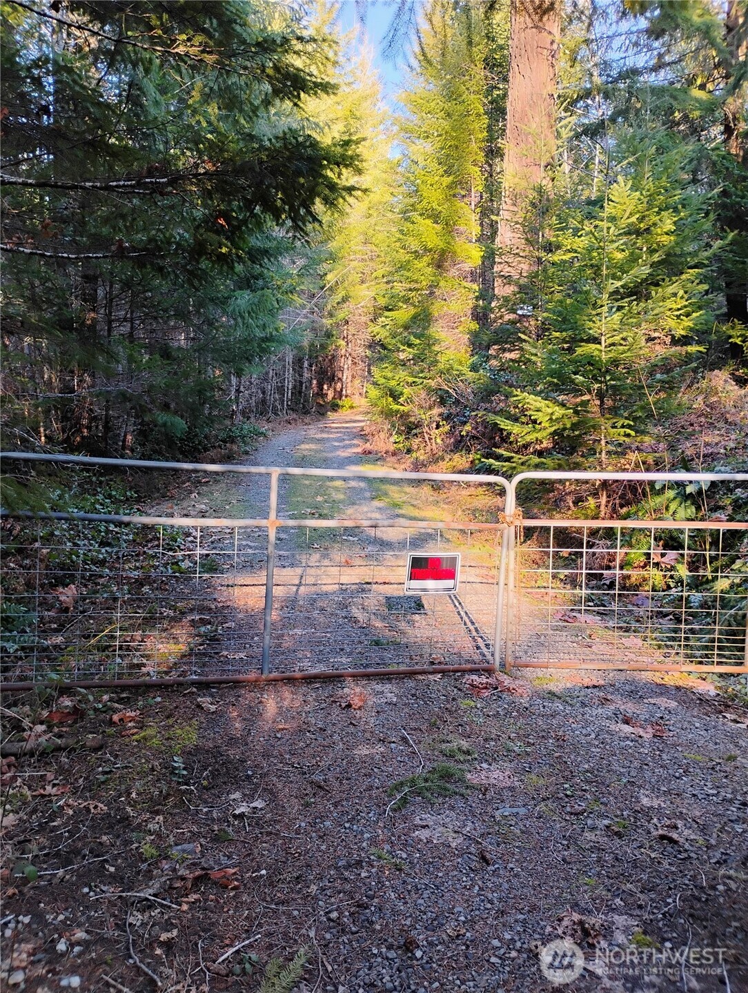 41 wild, forested acres of opportunity in Packwood on Skate Creek Rd! Bordering National Forest, this remarkable property offers exceptional privacy, direct access to outdoor adventure, and endless recreational possibilities—or potential for future development. Embrace the peaceful setting while bringing your vision to life, whether it’s a private retreat, recreational getaway, or investment opportunity. Enjoy close proximity to Packwood’s breweries, library, coffee shops, and local amenities. Outdoor enthusiasts will love the nearby hiking trails, skiing at White Pass, snowmobiling, fishing, and countless opportunities to simply relax and enjoy nature. Financing possibility available.