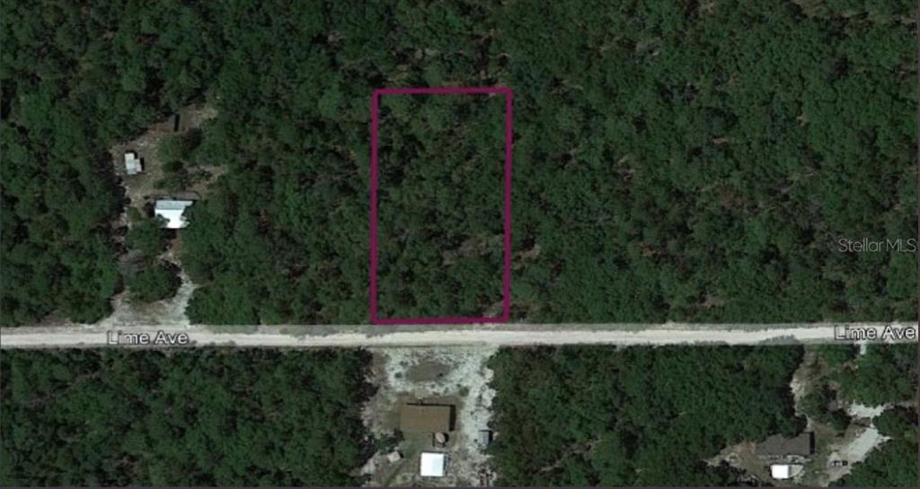 128 Lime Avenue, Pomona Park, FL 32181