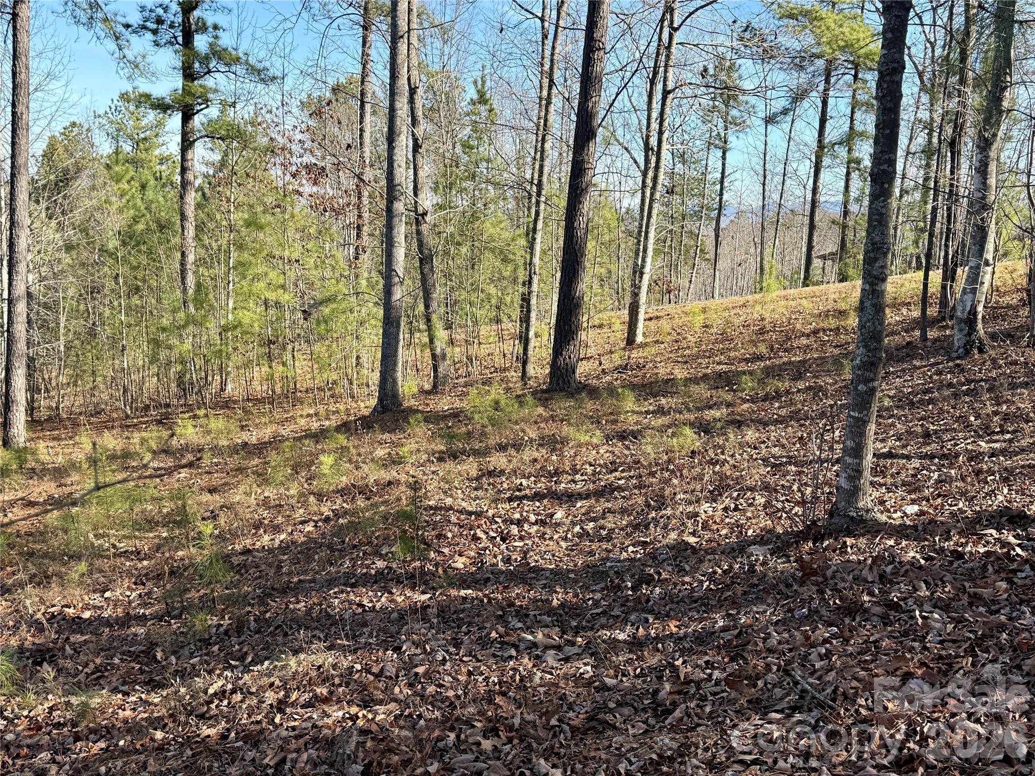 338 Grandview Peaks Drive 36