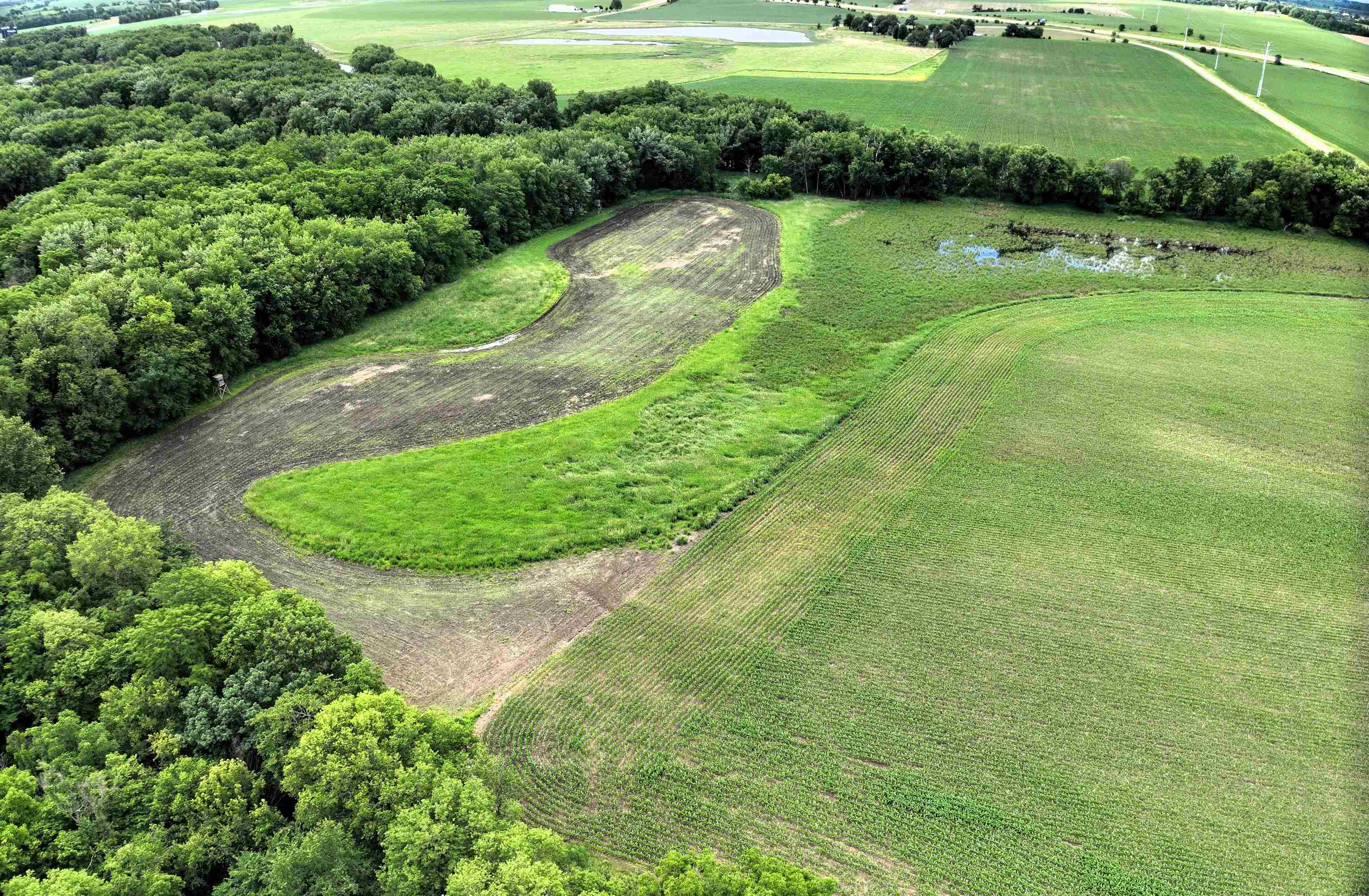 89.14 Acres Smokey Hollow