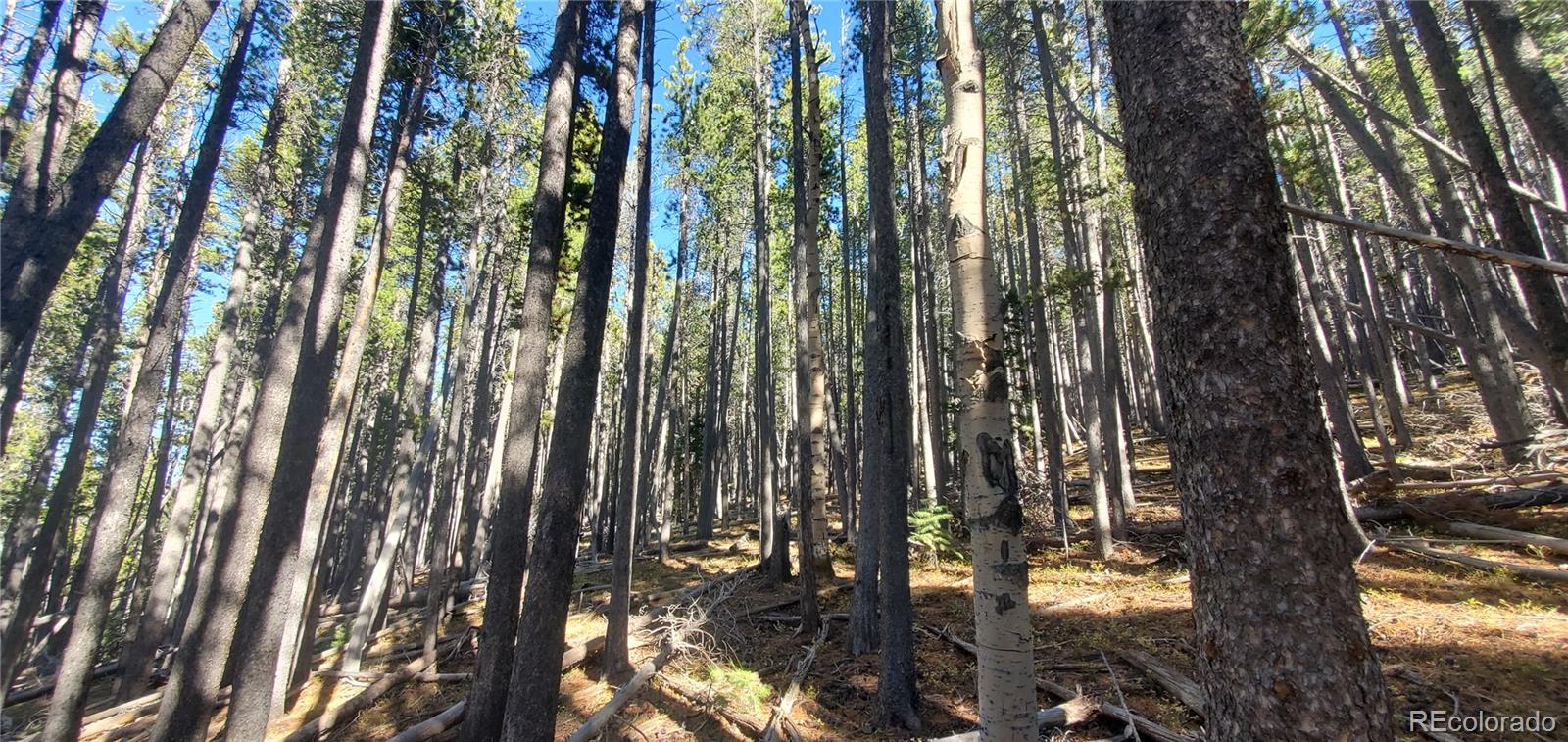 Lot 2682 & 2683 Purnell Lane