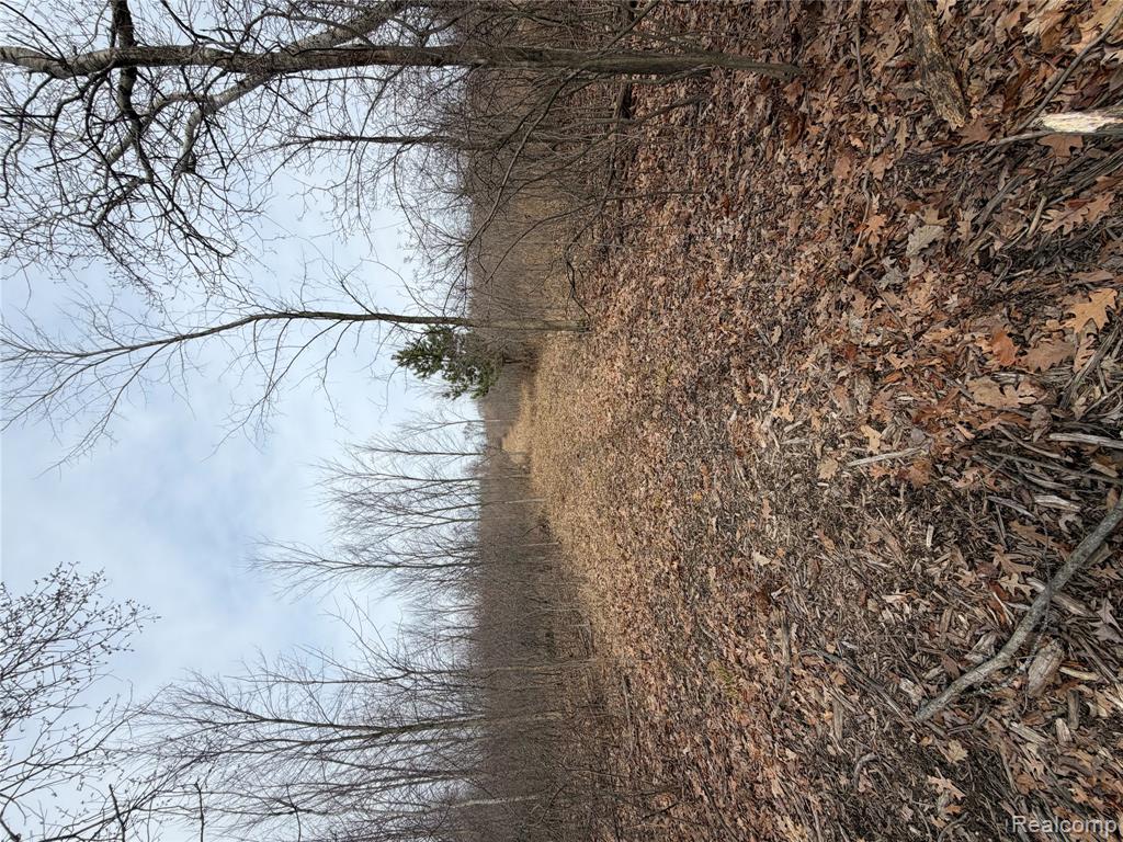 Looking for the perfect hunting property and building site?A property like this rarely comes on the market. Featuring 57 acres of true paradise, this exceptional parcel offers multiple ideal building sites for your dream home. With road frontage on two separate roads, access and future possibilities are excellent. Well known for its established quality deer management, the land provides outstanding hunting opportunities along with privacy, natural beauty, and endless recreational potential.