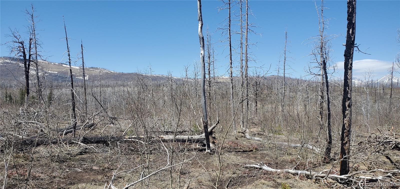 Lot 1667 Towey Place