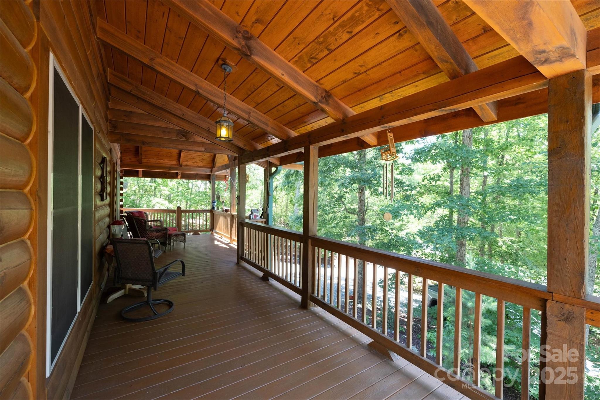 203 Mountain Vista Drive