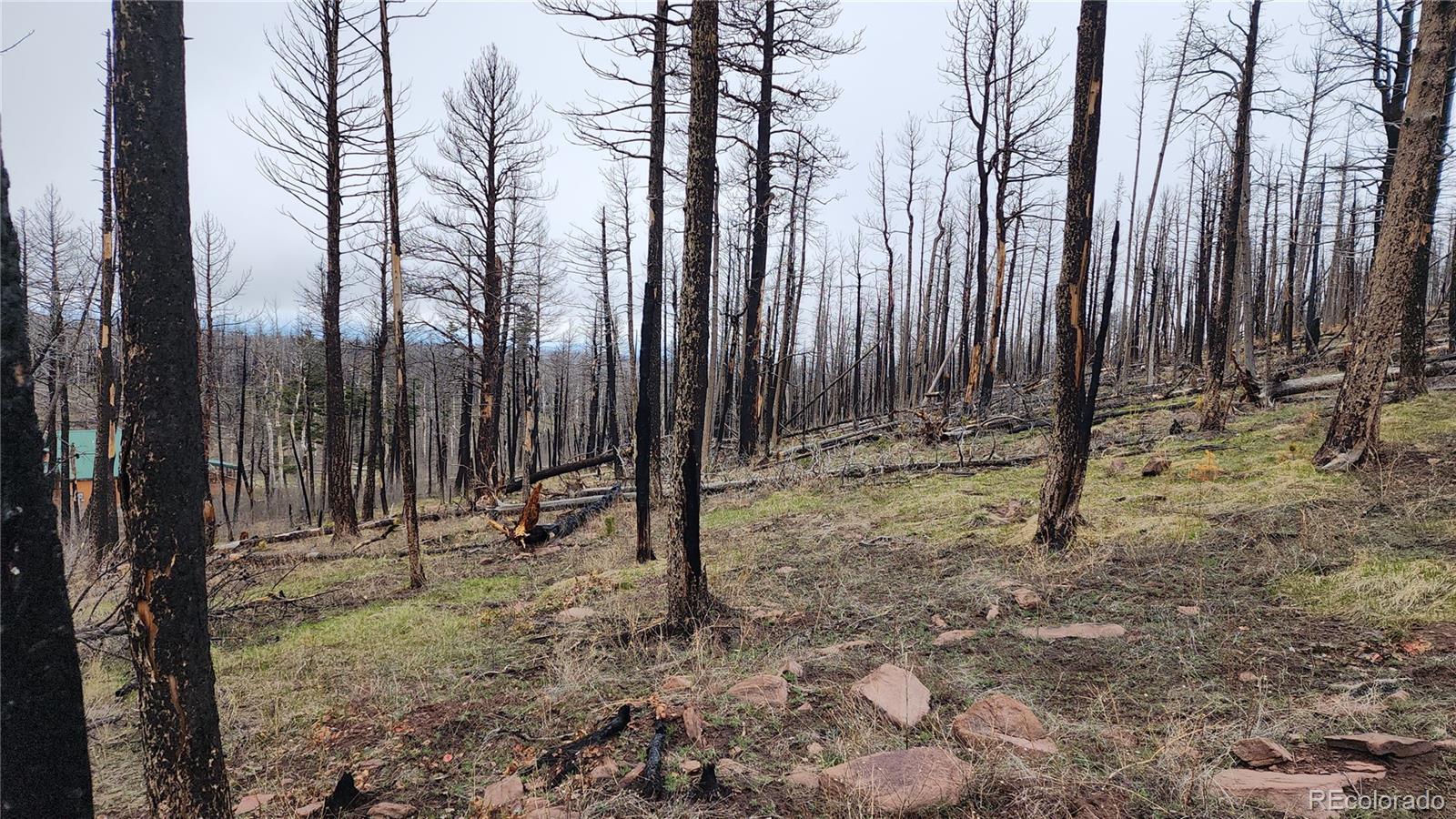 Lot 1735 Mara Loop