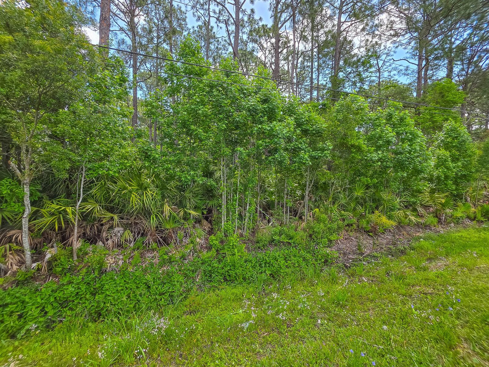 9152 U S Highway 1