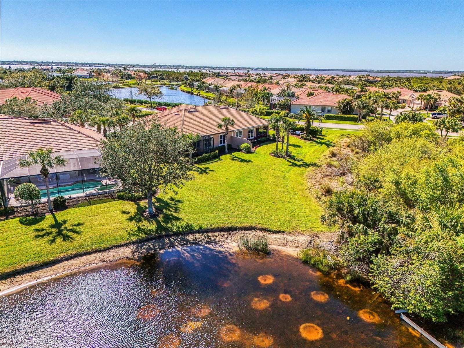 2625 Wax Myrtle