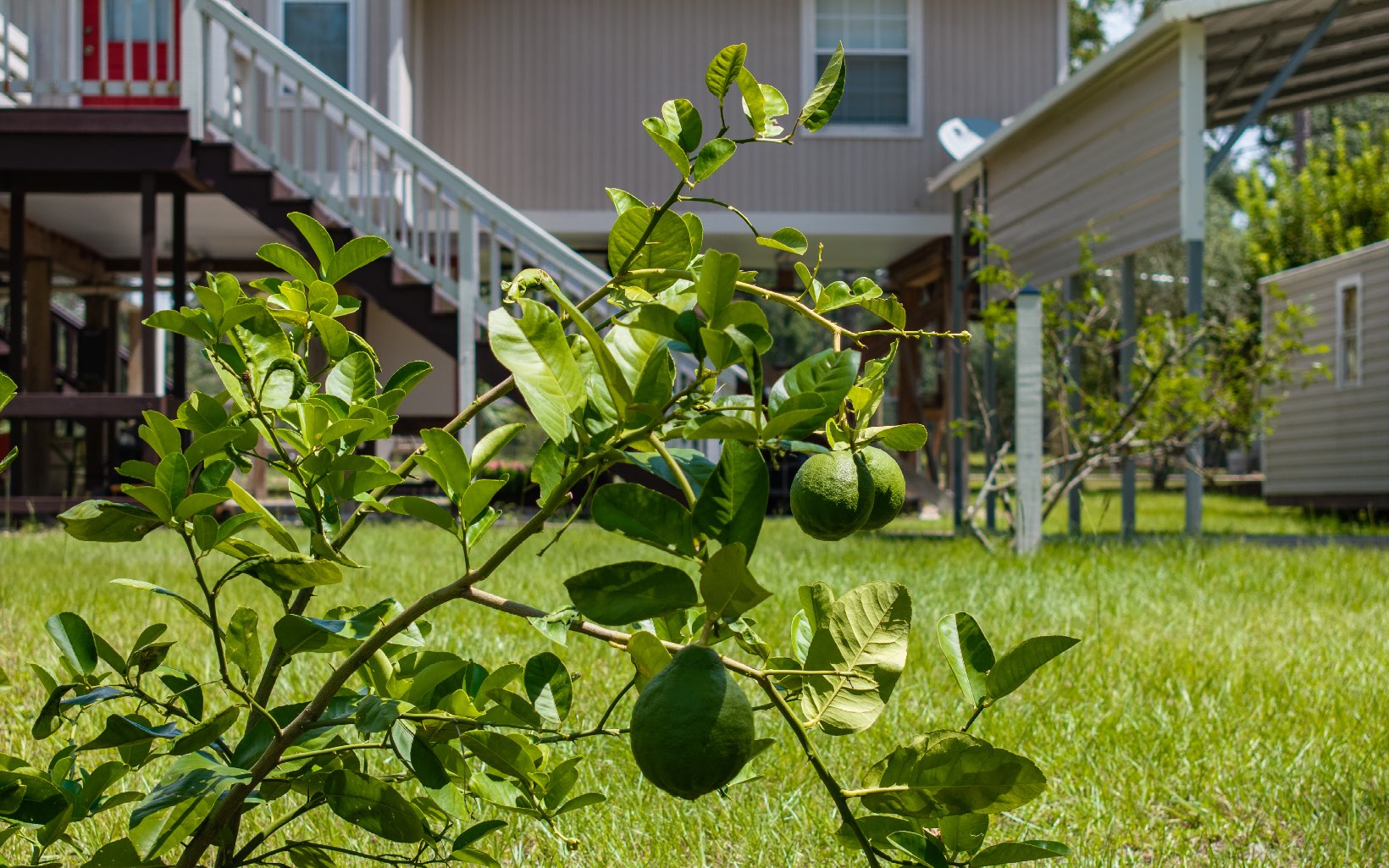 939 NW Banta Acres Rd