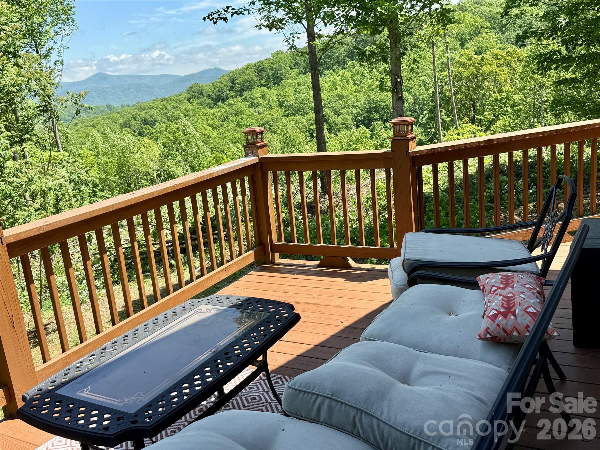 1143 Grandview Peaks Drive