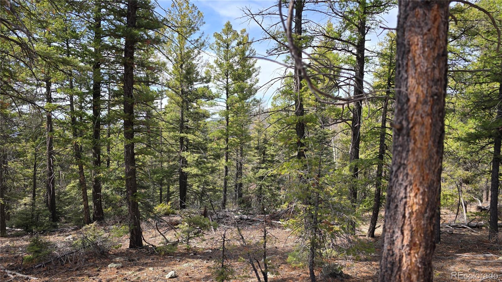 Lot 6070 Vreeland Road