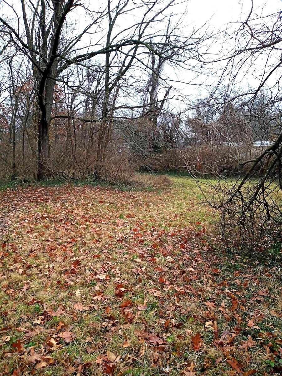 GROWING community in unincorporated Normandy area. Lot includes 2.42 mostly level acres waiting for your building dreams! Can be separated and used as 5 lots for residential homes (lots 12-16) or for a welcomed family that wants unincorporated acreage to build their dream home on. Also in unincorporated area, so can be used for RV use and/or living arrangements, etc! Don't pay rent when you can live on land! SO MUCH POTENTIAL AND GROWTH AWAITS! . Close to hwys, shopping, Metro & UMSL.  Drive by and make it yours, TODAY! Additional Rooms: Other