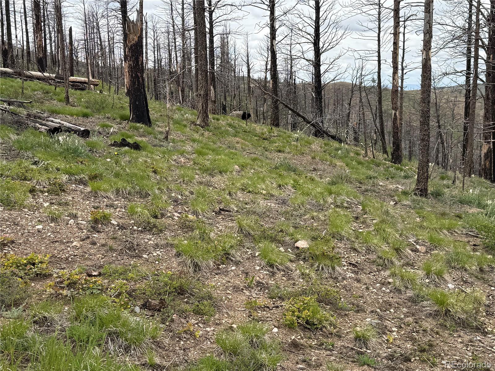 Lot 383 Soubry Place
