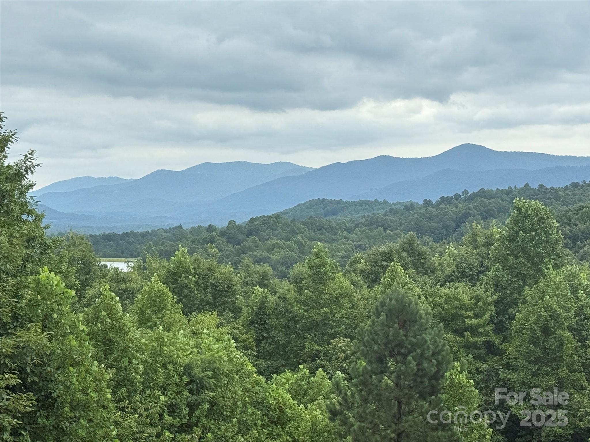 166 Coal Pit Mountain Drive 359