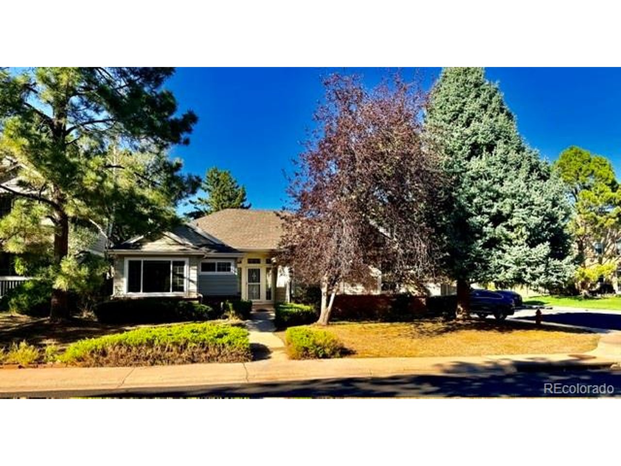 A RARE find in NorthPark, -a gorgeous light filled ranch perfectly positioned on a corner lot with a hard-to-find side-load garage! This thoughtfully designed Writer Homes floor plan offers 1,792 finished square feet on the main level and nearly 2,400 finished overall, with generous room sizes, vaulted ceilings and beautiful natural light. Newly refinished REAL HARDWOOD FLOORS run throughout most of the main level and are an absolute showstopper. The spacious living room features a two-sided fireplace shared with the sunny eat-in kitchen, complete with pantry and views to the backyard and patio. You'll also find a formal dining room, dedicated den with built-ins, main-floor laundry and a large primary suite with five-piece bath and cedar-lined walk-in closet. A second main-floor bedroom has brand-new carpet, while the finished basement provides additional family/TV space, a 3rd bedroom and storage. Outside, enjoy a fully fenced corner lot, mature trees, large patio and a rare SIDE-LOAD GARAGE with windows and a fold-down workbench. NorthPark offers a community pool, clubhouse, parks, trails and pickle ball courts, all in an established Westminster neighborhood with mature landscaping. Minutes from Trader Joe's, shopping, restaurants, Hyland Hills and Legacy Ridge golf courses, with convenient access to US-36 and I-25. If you've been waiting for a Westminster ranch with main-level living, great space and an outstanding location, put this one on your list.