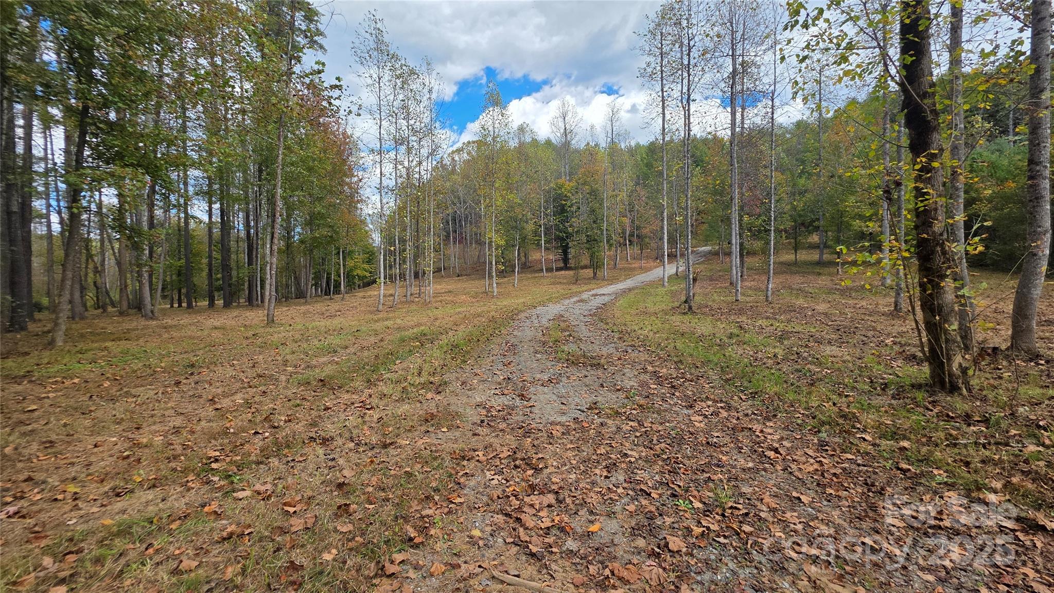 5915 River Hollow Trail 758