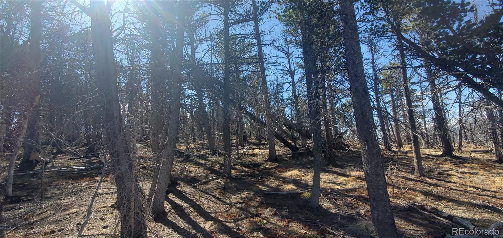 Lot 2739 Newman Place