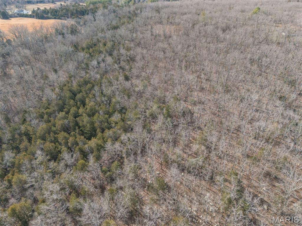 12.5+/- Acres On Effin Road