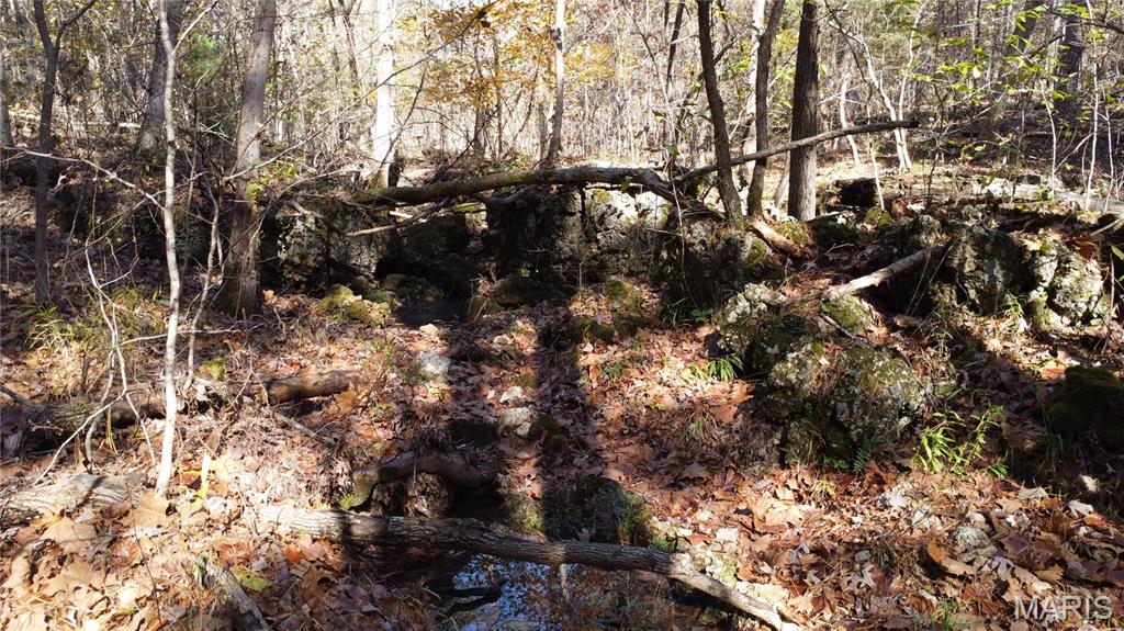 10256 Christina Trail