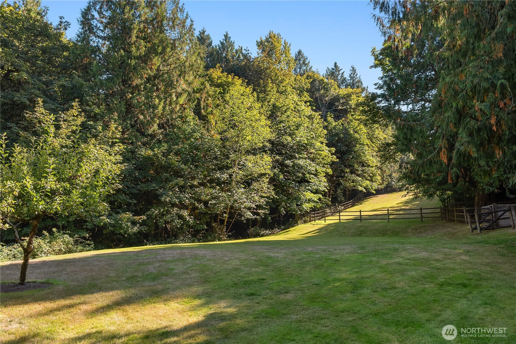 Grassy pasture bordered by wood fencing and trees