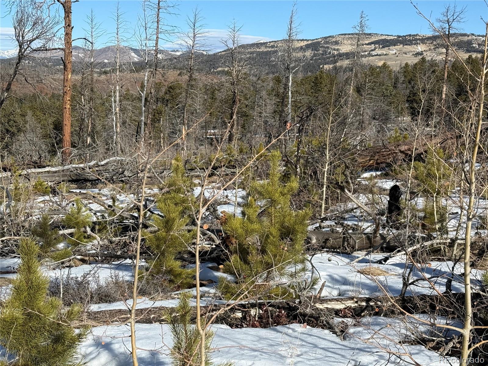 Lot 356 Spangle Drive