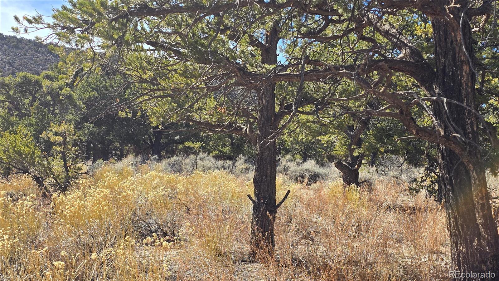 Lot 409 Williams Road
